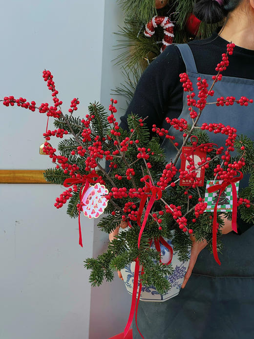 圣诞限定 ｜冬日恋歌 · 瓶花 （含花瓶） 商品图3