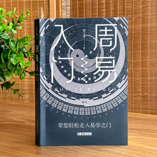 周易入门 商品图1