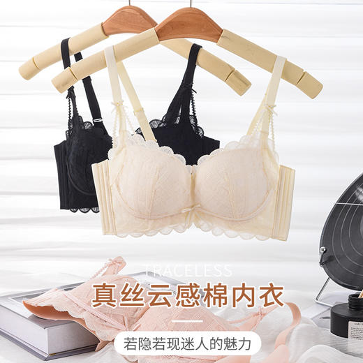 TG-TG02S247薄款真丝云感棉内衣 桑蚕丝性感蕾丝上薄下厚无钢圈聚拢文胸 商品图0