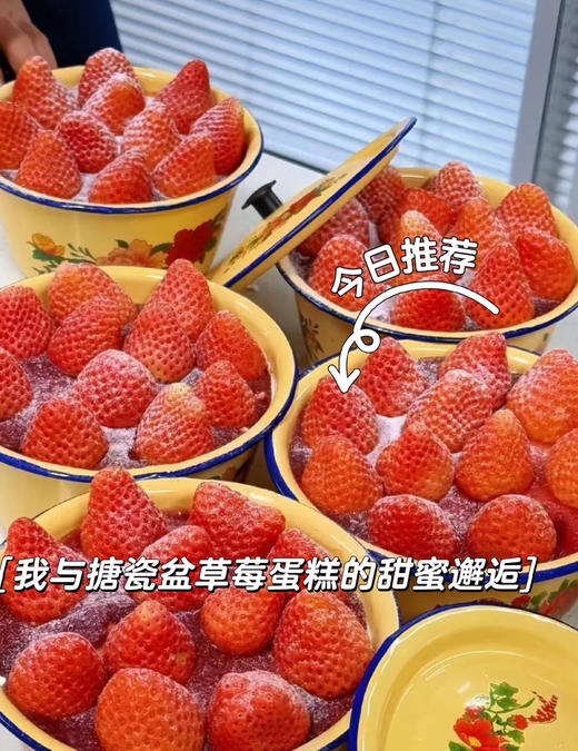 老奶奶搪瓷盆草莓蛋糕 商品图0