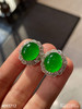 老坑玻璃种帝王绿蛋面耳钉【4093712】具体价格微信咨询 商品缩略图3