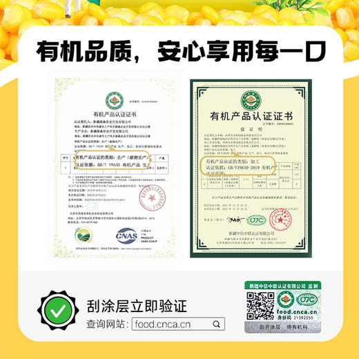 s【新升级】青辰谷谷新疆有机玉米粥 双重有机认证 宛如新鲜现熬 方便粥 商品图4