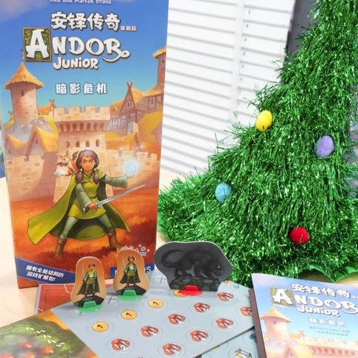 4-99岁亲子益智桌游/旭乐园/多人闯关协作玩具/幽灵梯/魔法高塔/暗影危机/安铎传奇家庭版【品牌方发货】 商品图4