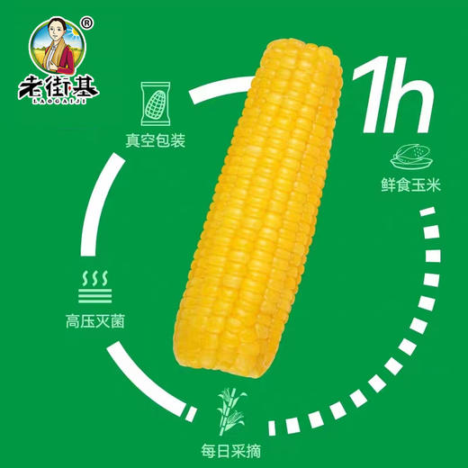 黑龙江肇州糯玉米180g (10穗/袋)   【木兰优选】 商品图5