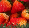 【顺丰包邮】丹东99红颜草莓【特别提示：运输途中可能有挤压，不影响食用，不支持退换货】 商品缩略图2