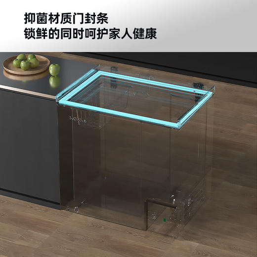 303升智能减霜单温家用商用冷柜 BG30CD 商品图4