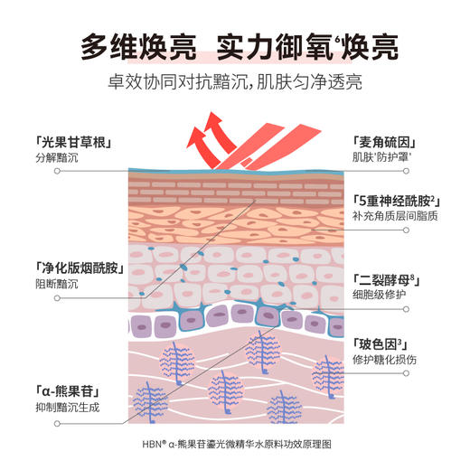 【79元超级秒杀，售罄下架】HBN·α-熊果苷鎏光微精华水｜高渗透好吸收，素颜也透亮 商品图3