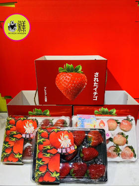 🛵三拼草莓🍓组合（凤梨+粉玉+红颜）