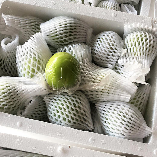 【分仓直发包邮】福建大青枣3斤 商品图2