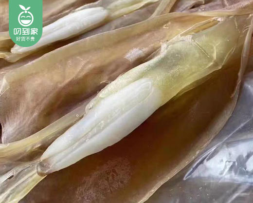 【预售-12月22日配送】本港甄选鱿鱼母/1包（7-9只，共约250g）生产日期：12月15日左右 商品图3