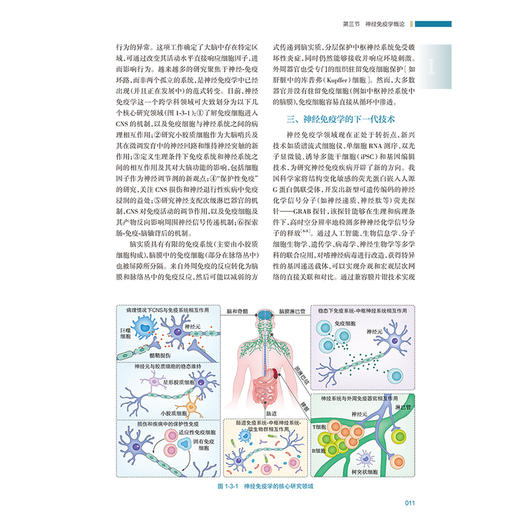 临床神经免疫学 郝峻巍编 神经免疫学基础免疫疾病实验室检查中枢神经系统炎性脱髓鞘疾病 自身免疫性脑炎神经病学 人民卫生出版社 商品图4