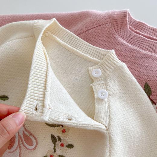 【童趣悦动，洋气有型】女童绣花毛衣0-5岁 秋季韩版童装 女宝宝洋气针织上衣 儿童秋装-QQ 商品图2