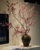 【桃花朵朵开 幸福处处来】桃花枝遇水开花书房水培干枝花卉带花苞客厅桃树枝条鲜枝水养 商品缩略图0