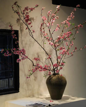 【桃花朵朵开 幸福处处来】桃花枝遇水开花书房水培干枝花卉带花苞客厅桃树枝条鲜枝水养