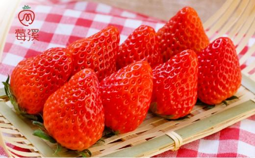 基地直发 | 莓溪红颜生态草莓 商品图1