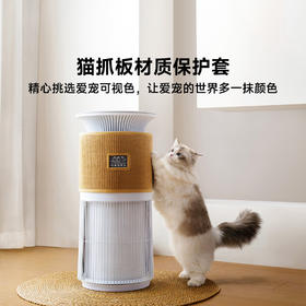 P300贝昂宠物净化器