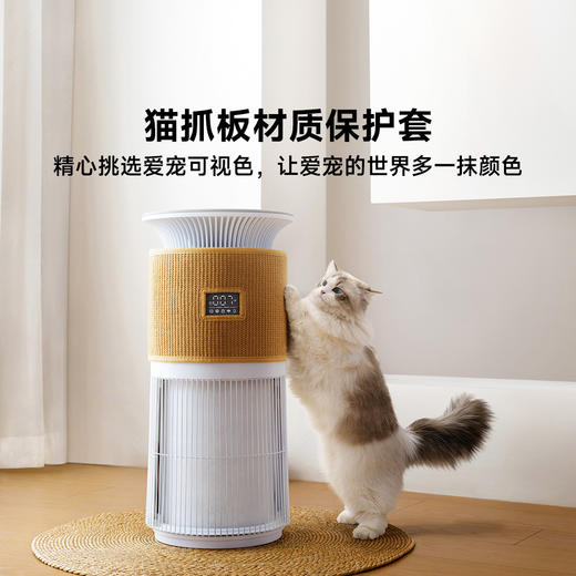 P300贝昂宠物净化器 商品图0