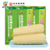 黑龙江 真空白糯玉米（260g/穗）10穗/箱  【木兰优选】 商品缩略图0