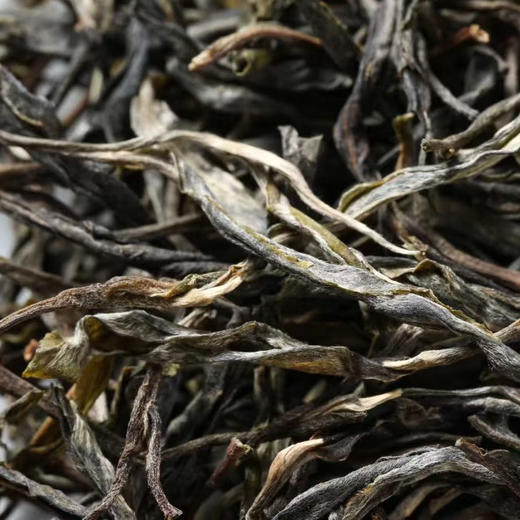 现货！【锁定12月12日12:00，准时开抢】【双十二纪念饼】2025年头春头采，易武超微产区国有林高杆古树茶！舌底鸣泉，独特清凉感！不拍一定后悔~ 商品图2