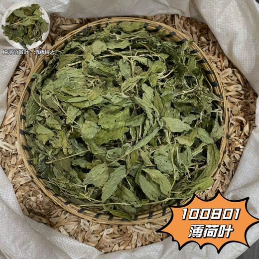 薄荷 常用规格 云南本地品种  薄荷叶  薄荷茶 商品图1