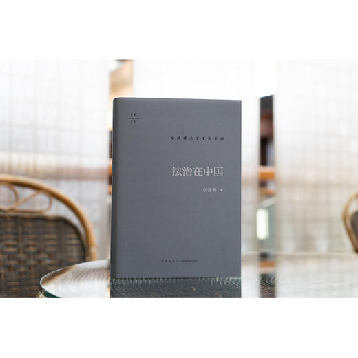 法治在中国 卓泽渊著 法律出版社 商品图2
