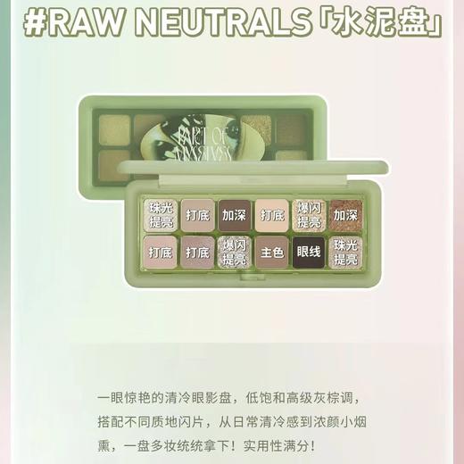 3CE 12色眼影盘【热卖色】#RAW NEUTRALS「水泥盘」大地色 商品图4