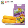 黑龙江肇州糯玉米180g (10穗/袋)   【木兰优选】 商品缩略图6