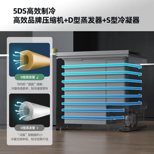 203升大容量家用商用小型冷柜 BG20CD 商品图3