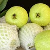 被夸爆的奶油芭乐！直接封神了❗️水果界的“脂肪杀手”海南白心芭乐精品果3-8斤装  顺丰/京东随机发货 商品缩略图1