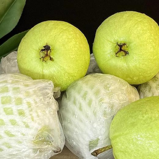 被夸爆的奶油芭乐！直接封神了❗️水果界的“脂肪杀手”海南白心芭乐精品果3-8斤装  顺丰/京东随机发货 商品图1