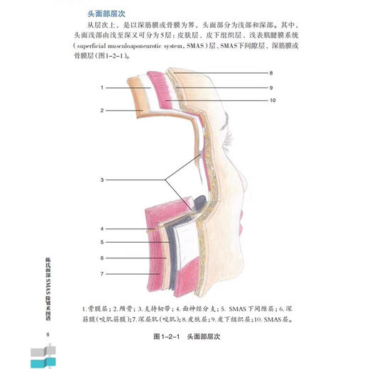 陈氏面部SMAS除皱术图谱 除皱术相关支持韧带 除皱术相关表情肌 面部除皱术 面部修复手术 9787571025359湖南科学技术出版社 商品图4