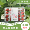 丹红 商品缩略图0