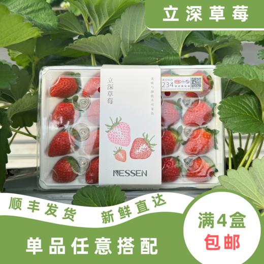 丹红 商品图0