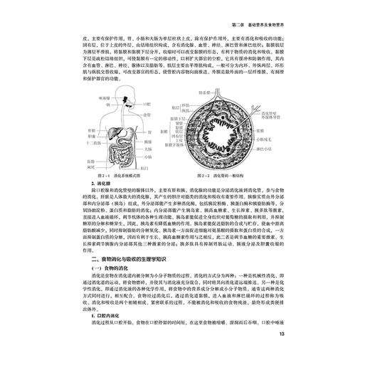 母婴营养师职业水平评价教材 吴为群 刘喜红 杨永红 主编 妇幼营养学介绍 孕前营养和孕前准备 9787521449266 中国医药科技出版社 商品图3