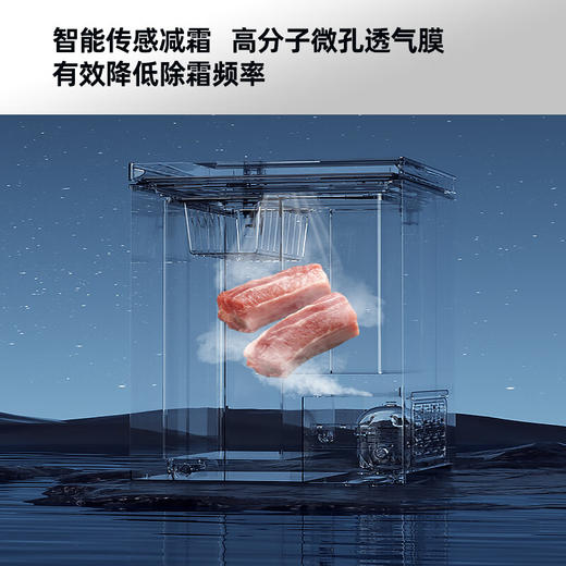 303升智能减霜单温家用商用冷柜 BG30CD 商品图3