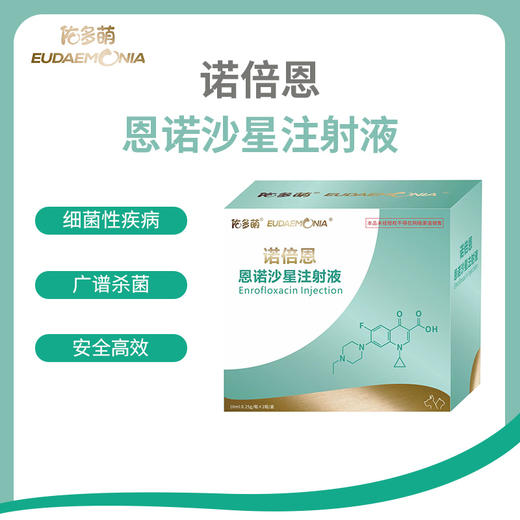 诺倍恩丨恩诺沙星注射液（静脉工艺） 商品图0