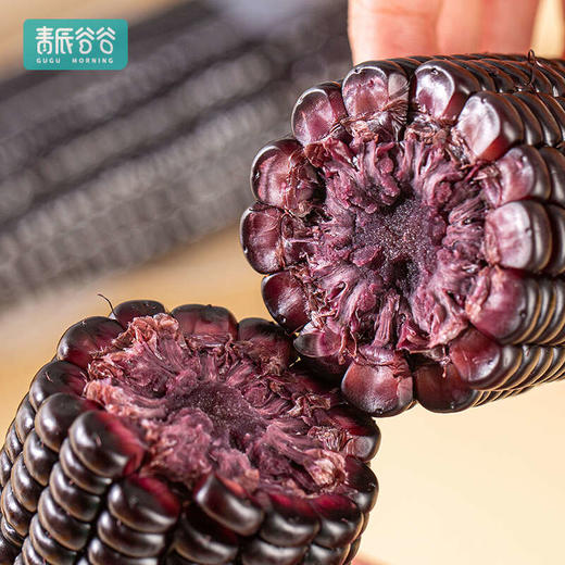 天畔×青辰谷谷 新疆甜糯玉米 绿色食品认证 非转基因 商品图5