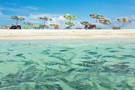 泰国普吉PH蛋岛快艇半日游/一日游[中文导游| 体验浮潜] 商品图3