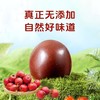 【GJ链接请勿用!!!】【陈皮茯苓山楂丸】古方新作八味食材药食同源呵护脾胃用心还原自然香醇！ 商品缩略图1
