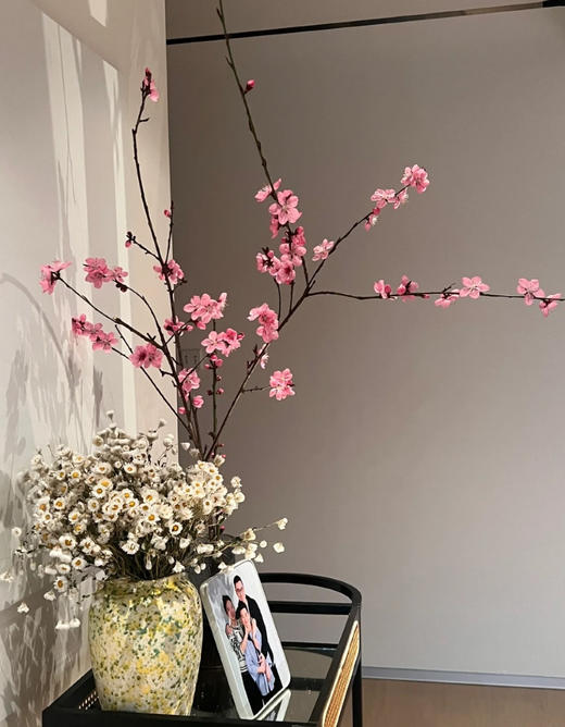 【桃花朵朵开 幸福处处来】桃花枝遇水开花书房水培干枝花卉带花苞客厅桃树枝条鲜枝水养 商品图1