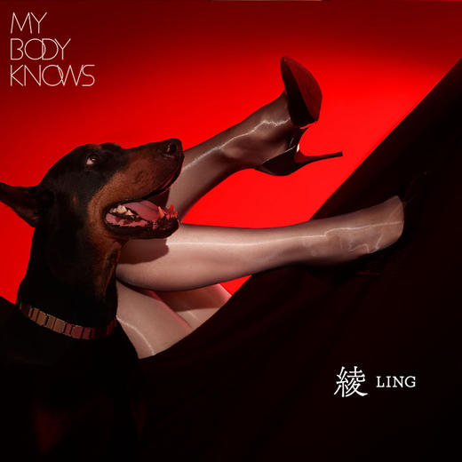 MBK&绫「映」8D油亮性感油光丝袜，3条起拍，无痕高弹贴身大开裆超薄黑丝袜连裤袜 商品图1