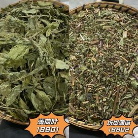 薄荷 常用规格 云南本地品种  薄荷叶  薄荷茶
