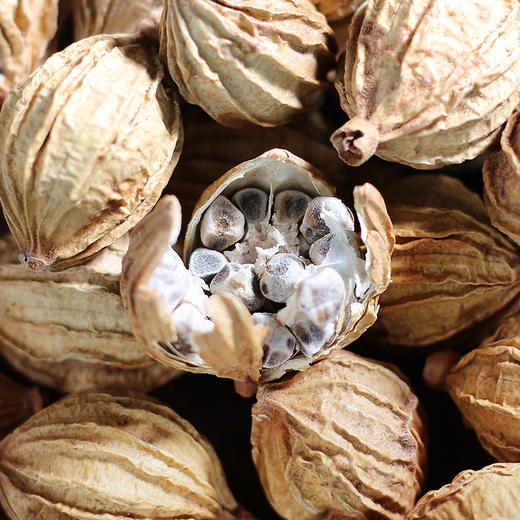 有机砂仁120g云南特产瓶装调味干货厨房卤料调料香辛料包邮 商品图3