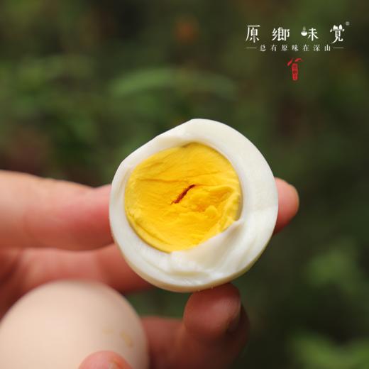 生态土鸡蛋（基地直发-顺丰包邮）|  30枚/盒，来自山东济南，生产者：田海平【合作生产，公平贸易】 商品图2