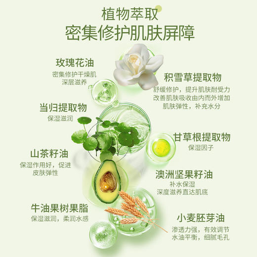安姑娘植萃润泽面霜 无香味长效保湿锁水 细腻嫩滑 修护干裂 冬季大干皮 纯素美妆 全国包邮 商品图4