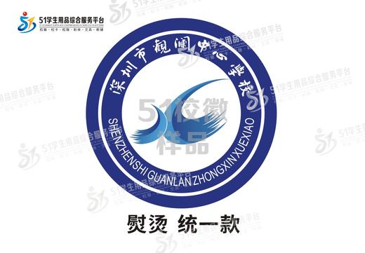 通版定制龙华区观澜中心学校包边熨烫校徽布姓名贴章可烫现货发51 商品图3