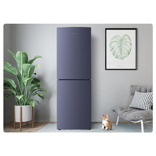 容声192升双门冰箱风冷无霜节能低噪小型两门电冰箱租房小巧 BCD-192WKD1DE 凯旋灰 商品图3