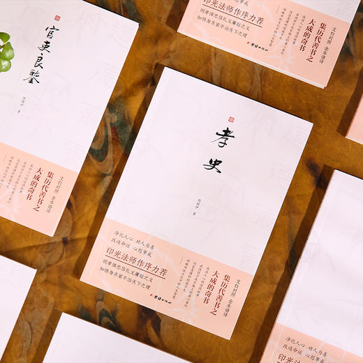 新版-文白对照道德丛书（全14册） 商品图2