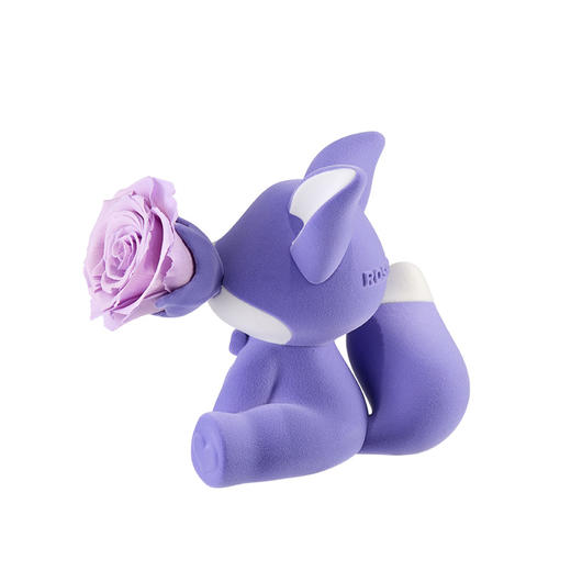 ROSEONLY诺誓 永生玫瑰 公仔系列 可心狐 紫白色 橙白色 送朋友 商品图5