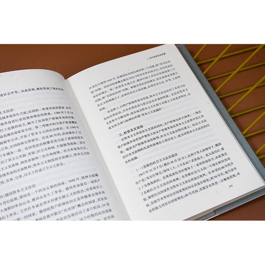 法治及其实践 卓泽渊著 法律出版社 商品图2